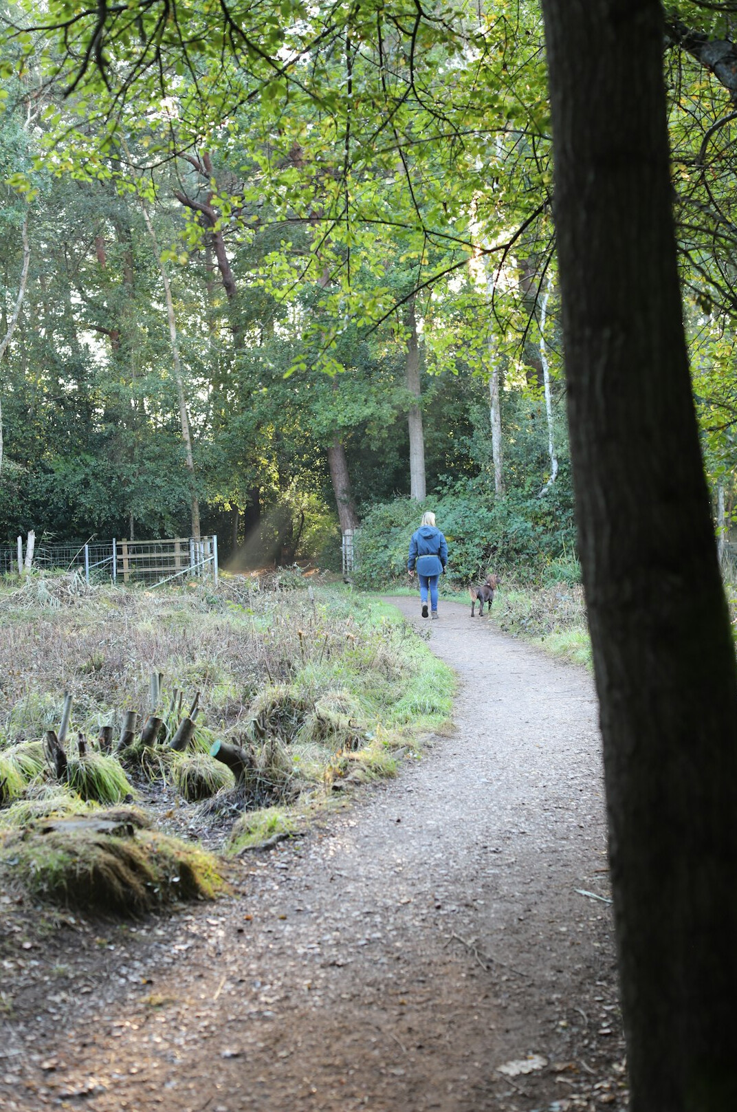person walking in nature trail